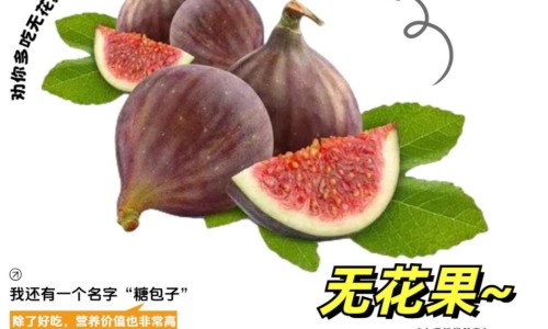 新生儿脸上有水泡样的小疙瘩-新生儿脸上长几颗小红疙瘩网-分享新生儿脸上有小红疹子是什么原因，新生儿脸上脖子上密密麻麻小红疙瘩知识库
